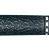 Palmer piljardikii BQP-2133