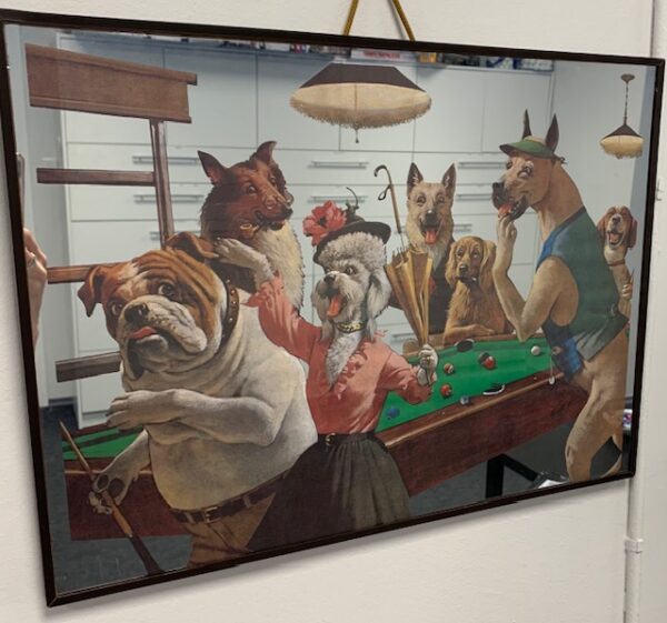 Dogs 3